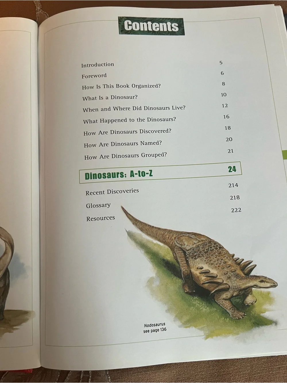 Scholastic Dinosaurs A to Z - Yellow & Black Cover